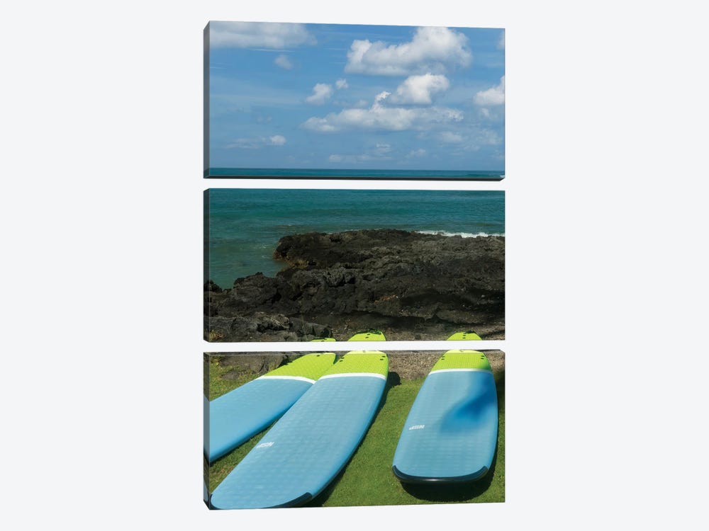 Surfboards And Ocean II by Dennis Frates 3-piece Canvas Artwork