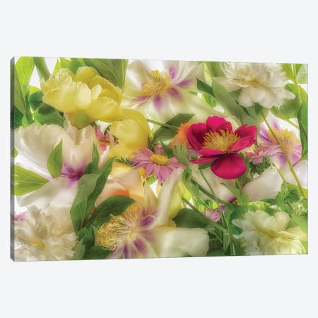 Mixed Flowers II Canvas Print #DEN1892} by Dennis Frates Canvas Wall Art