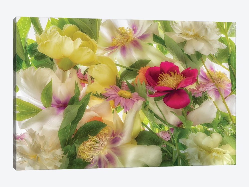 Mixed Flowers II by Dennis Frates 1-piece Canvas Print