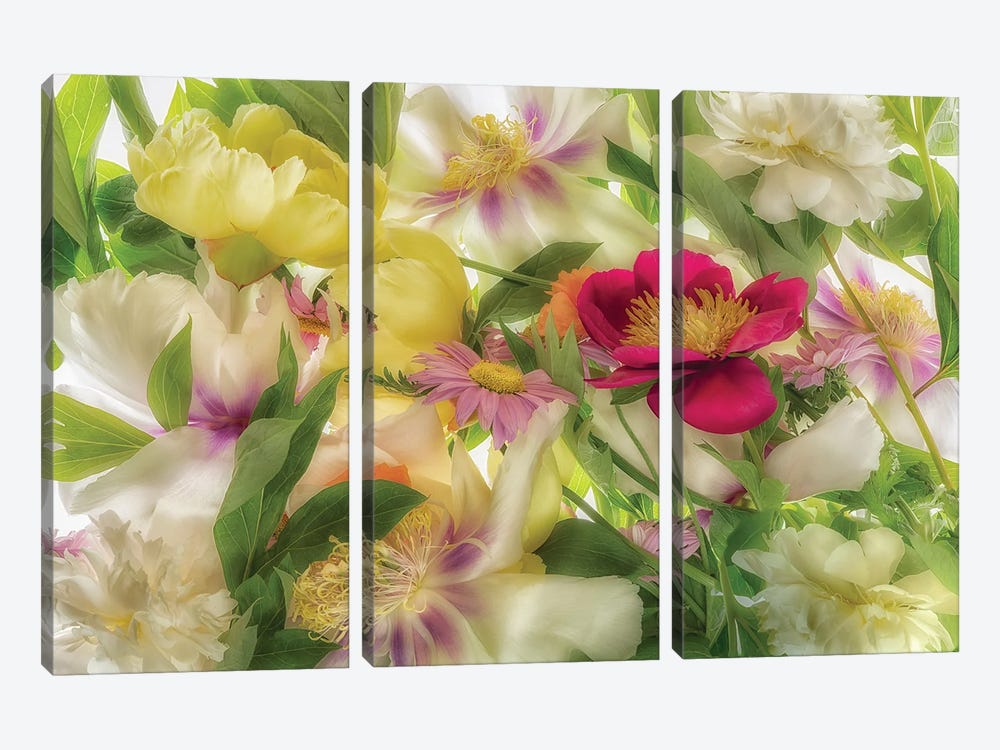 Mixed Flowers II by Dennis Frates 3-piece Art Print