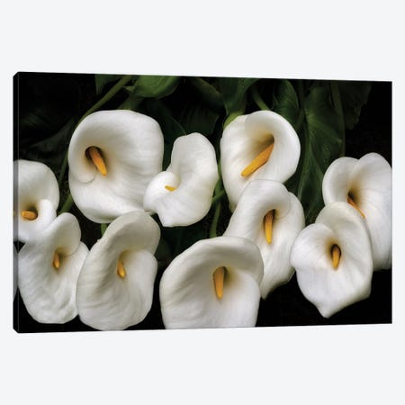 Lily Bunch Canvas Print #DEN1894} by Dennis Frates Art Print