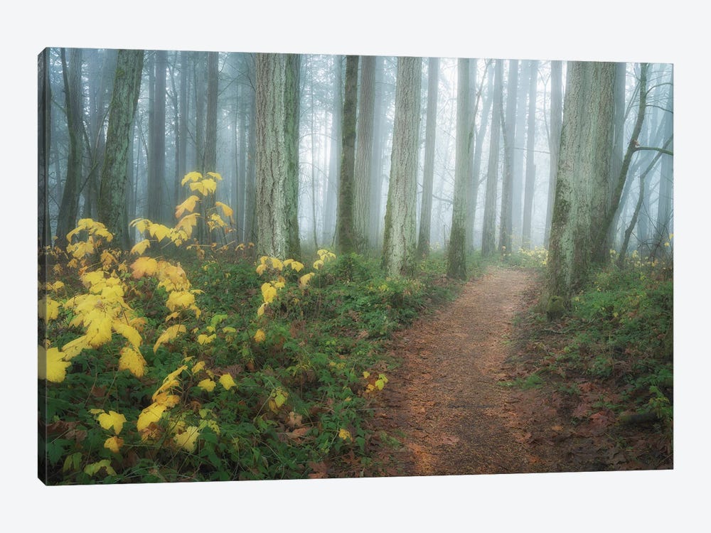 Autumn Trail by Dennis Frates 1-piece Canvas Print