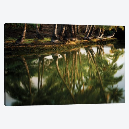 Tree Reflection III Canvas Print #DEN1909} by Dennis Frates Canvas Art