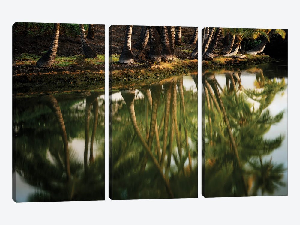 Tree Reflection III by Dennis Frates 3-piece Canvas Art