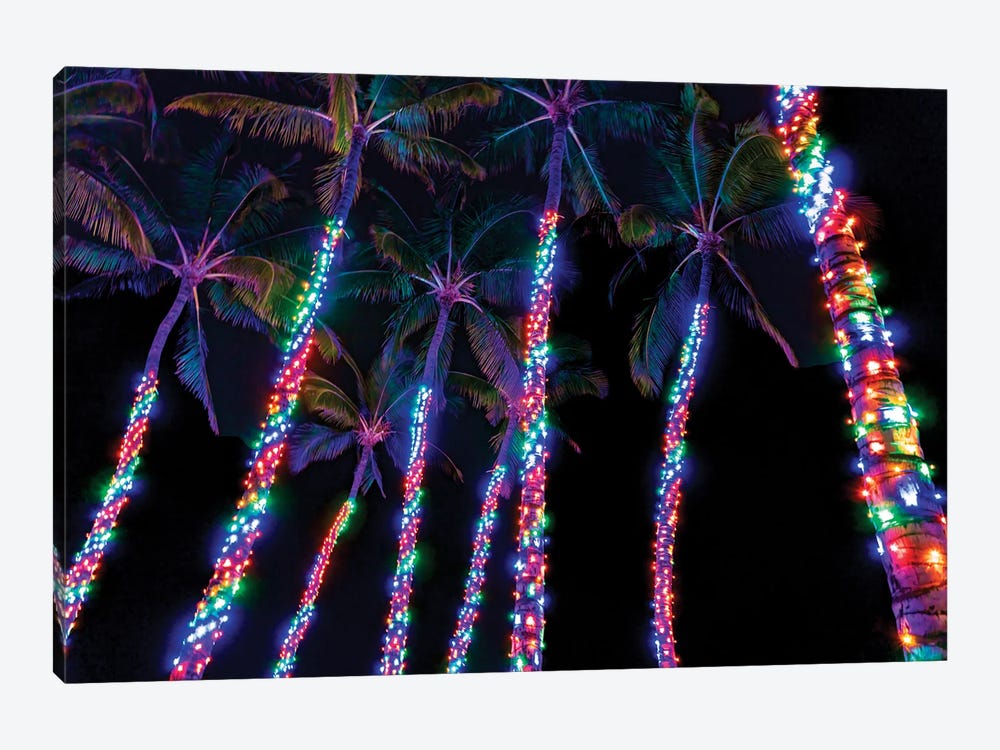 Tropical Christmas II by Dennis Frates 1-piece Canvas Artwork