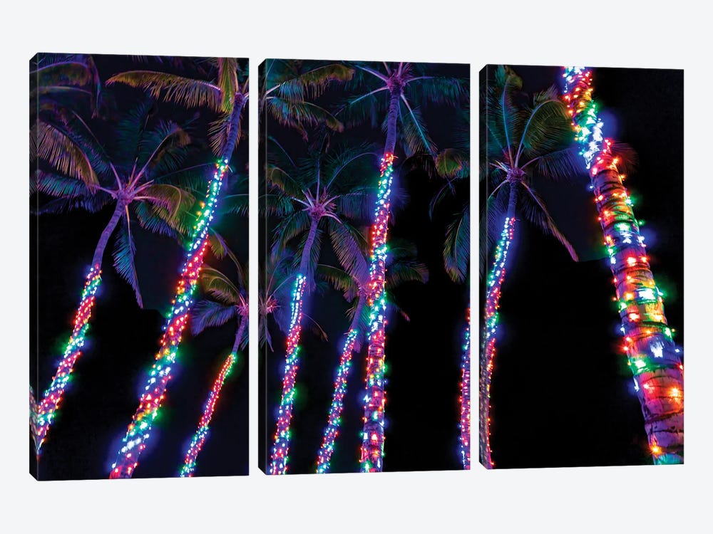 Tropical Christmas II by Dennis Frates 3-piece Canvas Artwork