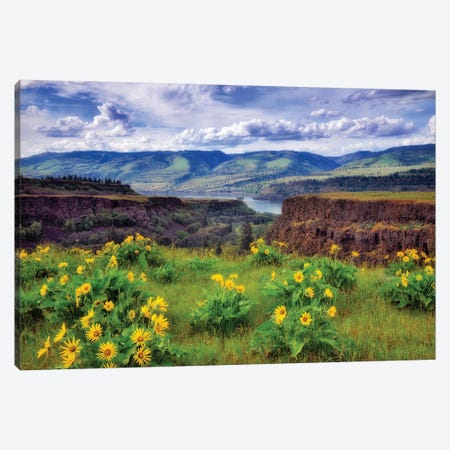Gorge Wildflowers Canvas Print #DEN1920} by Dennis Frates Canvas Artwork