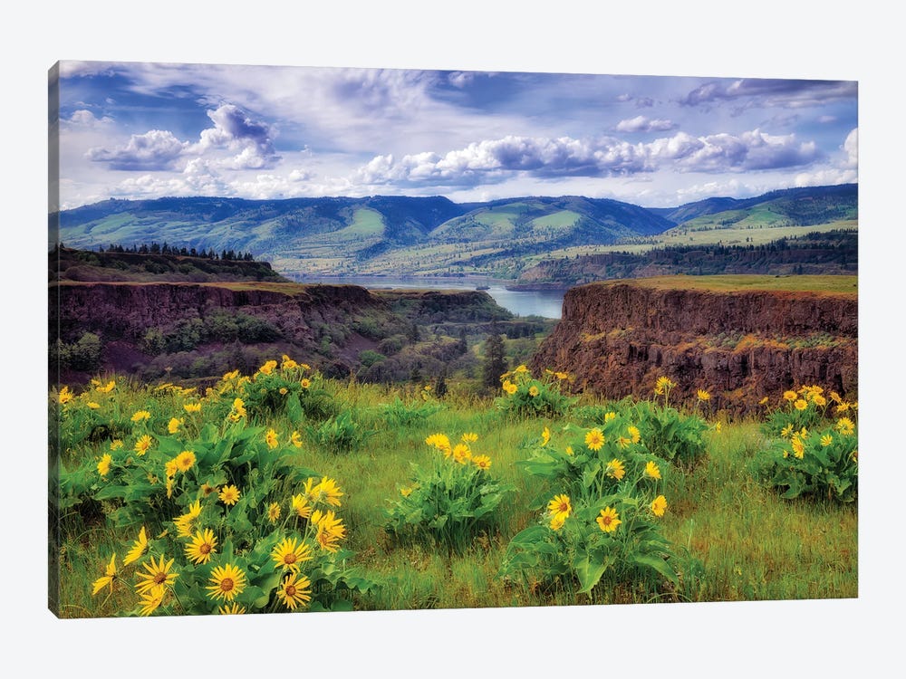 Gorge Wildflowers by Dennis Frates 1-piece Canvas Art Print