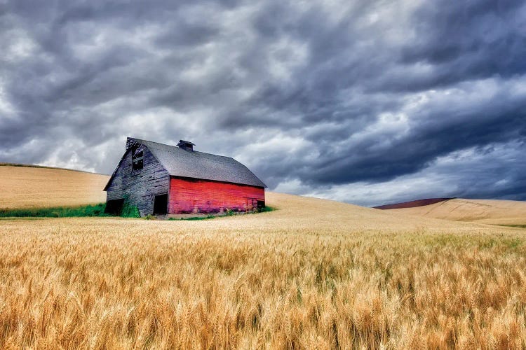 Barn Storm IV