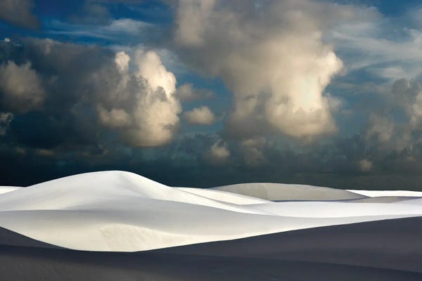 Coastal Sand Dunes: White Sands III by Dennis Frates