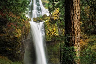 Washington Falls by Dennis Frates canvas print