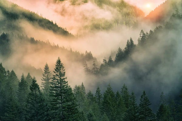 Mountain Sunrises & Sunsets: Misty Morning Sunrise by Dennis Frates