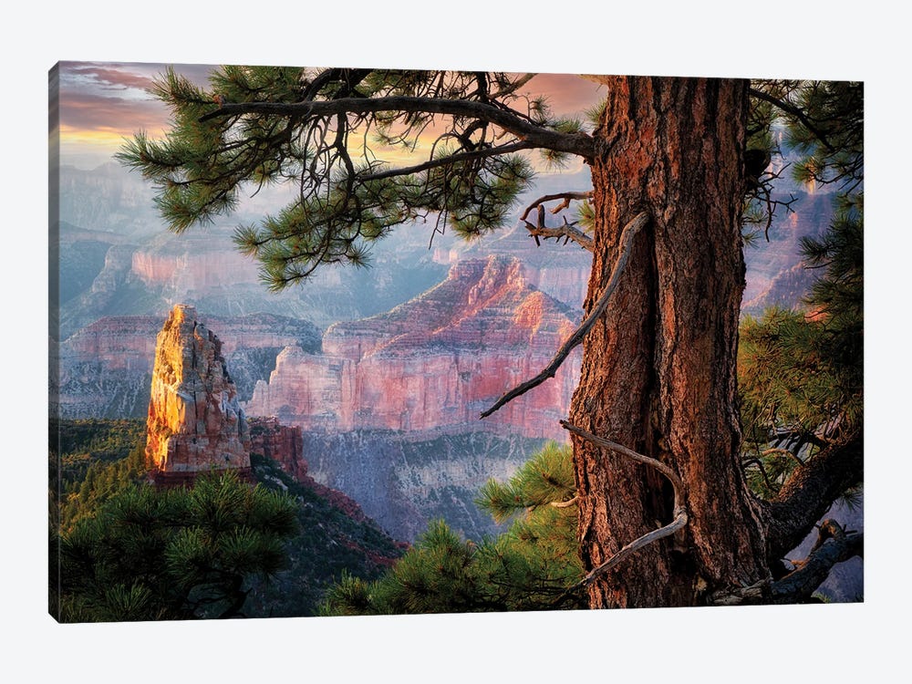 Grand View by Dennis Frates 1-piece Canvas Wall Art