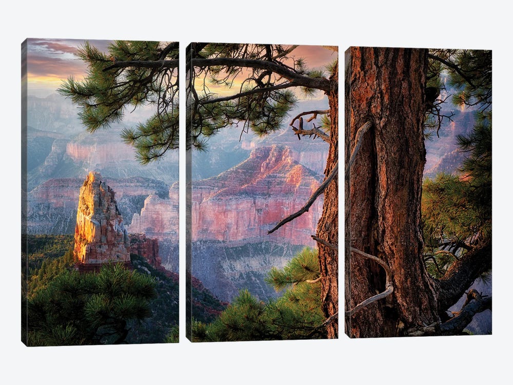 Grand View by Dennis Frates 3-piece Canvas Wall Art