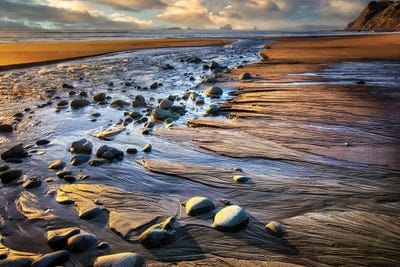 Beach Lectures by Dennis Frates framed wall art
