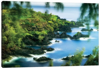 Maui Shoreline I Canvas Art Print - Maui Art