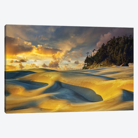 Dune Sunset Canvas Print #DEN1943} by Dennis Frates Canvas Wall Art