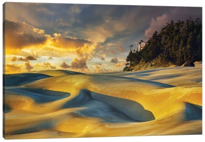Dune Sunset Canvas Art Print - Dennis Frates