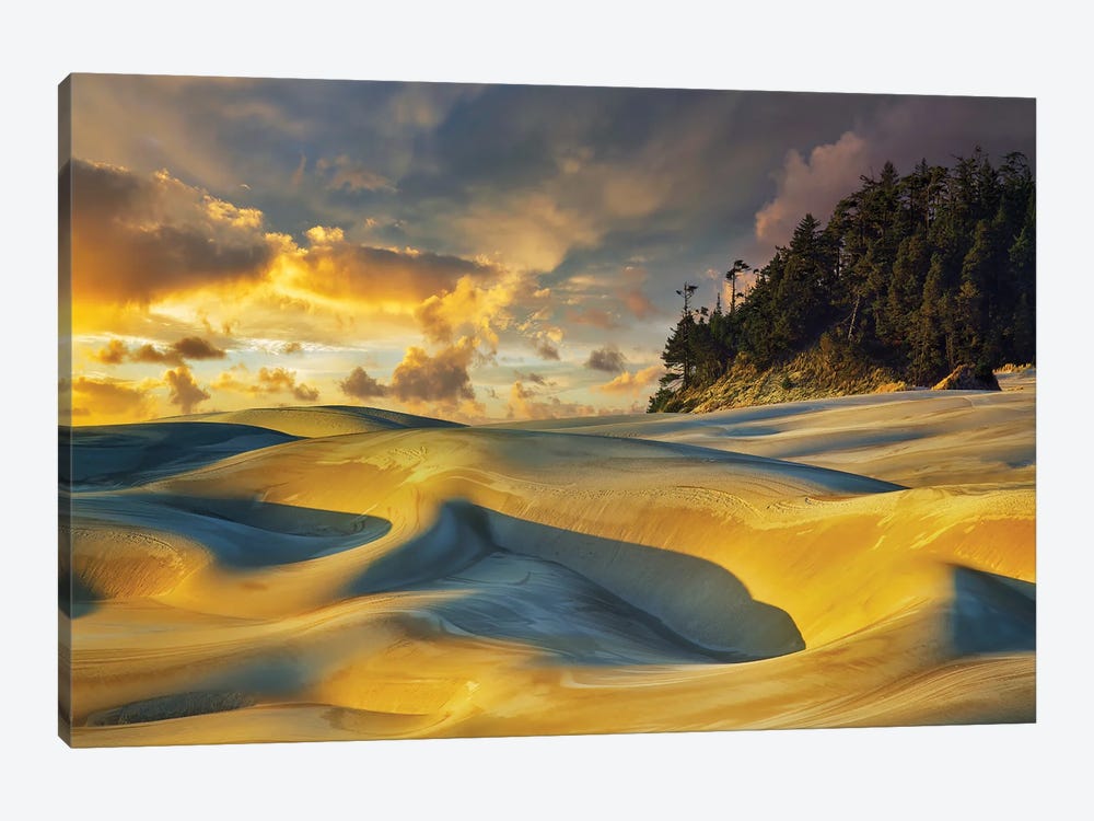 Dune Sunset by Dennis Frates 1-piece Canvas Wall Art
