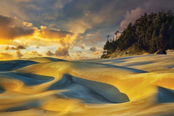 Coastal Sand Dunes: Dune Sunset by Dennis Frates