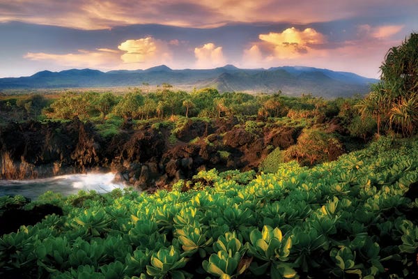 Maui: Maui Shoreline II by Dennis Frates