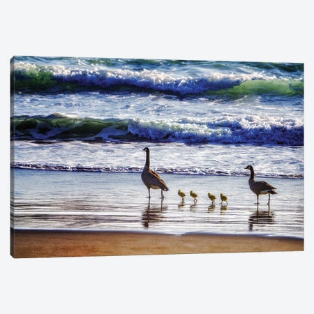 Beachside Goose Family Canvas Print #DEN1951} by Dennis Frates Canvas Art Print