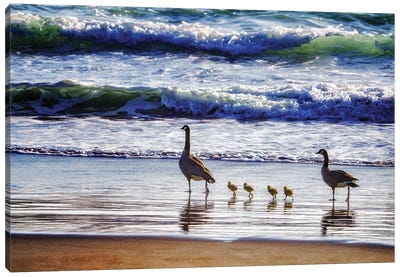 Beachside Goose Family Canvas Art Print - Goose Art