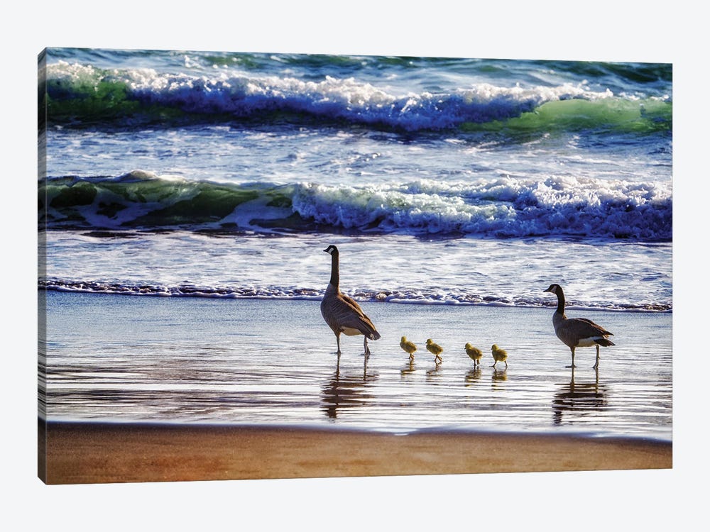 Beachside Goose Family by Dennis Frates 1-piece Canvas Art Print