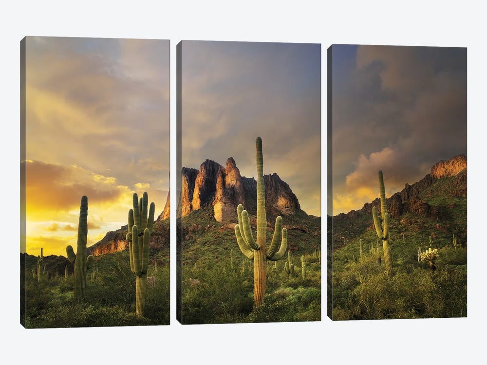 Desert Sunset by Dennis Frates 3-piece Art Print