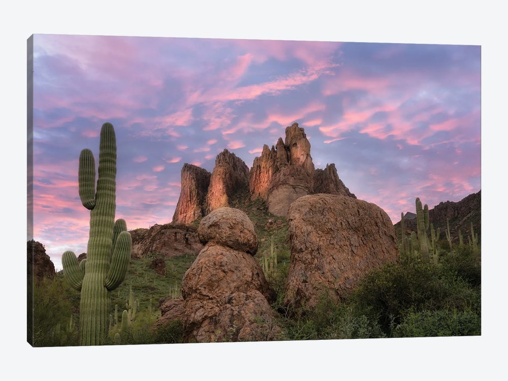 Suguaro Desert Sunset II by Dennis Frates 1-piece Canvas Print