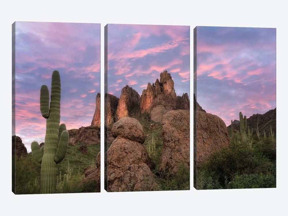 Suguaro Desert Sunset II by Dennis Frates 3-piece Canvas Print