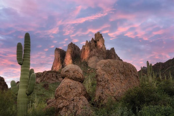 Desert: Suguaro Desert Sunset II by Dennis Frates