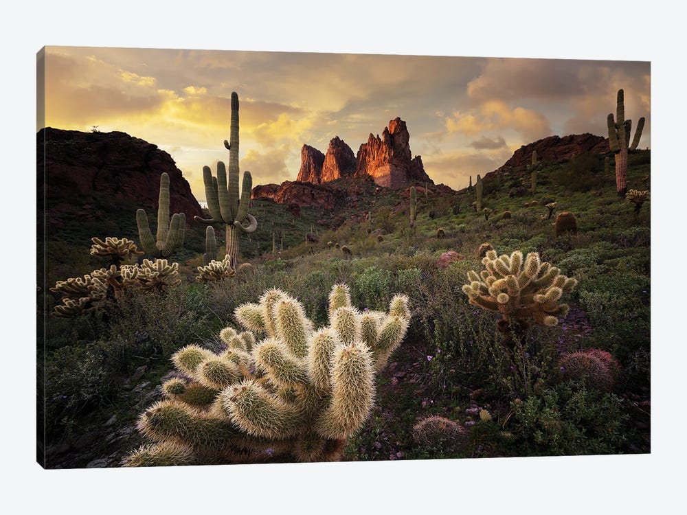 Arizona Desert Sunset by Dennis Frates 1-piece Canvas Print