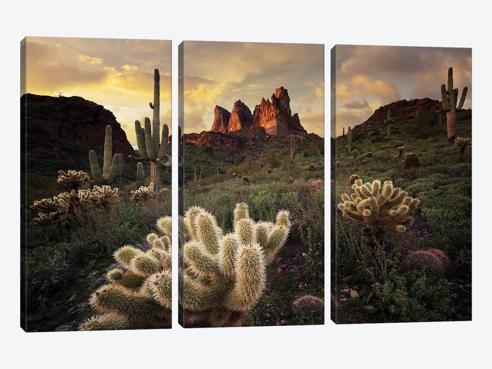 Arizona Desert Sunset by Dennis Frates 3-piece Canvas Print