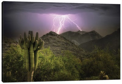 Desert Lightning Storm Canvas Art Print - Dennis Frates