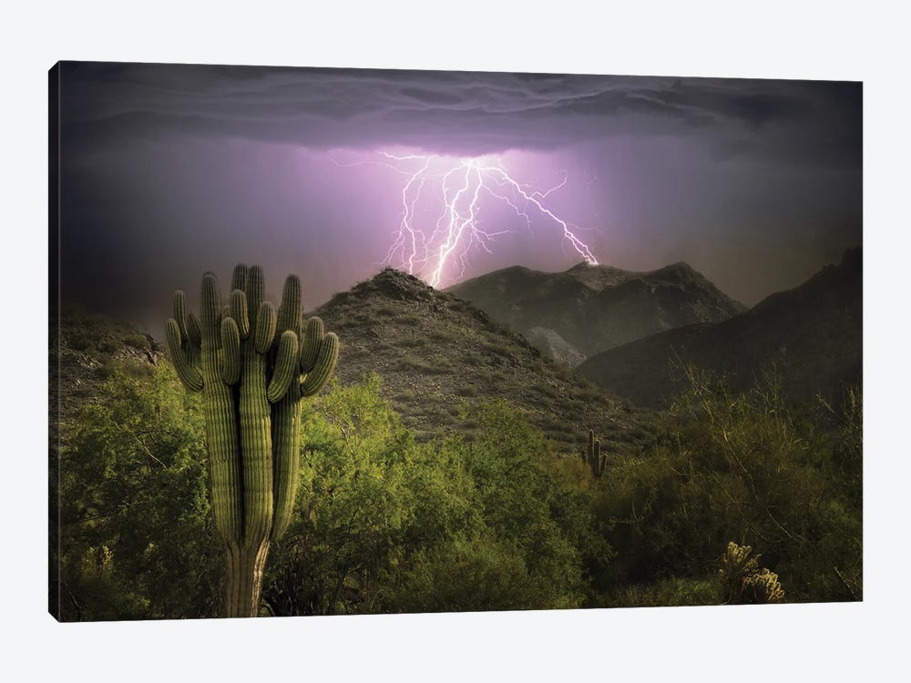 Desert Lightning Storm by Dennis Frates 1-piece Canvas Art Print