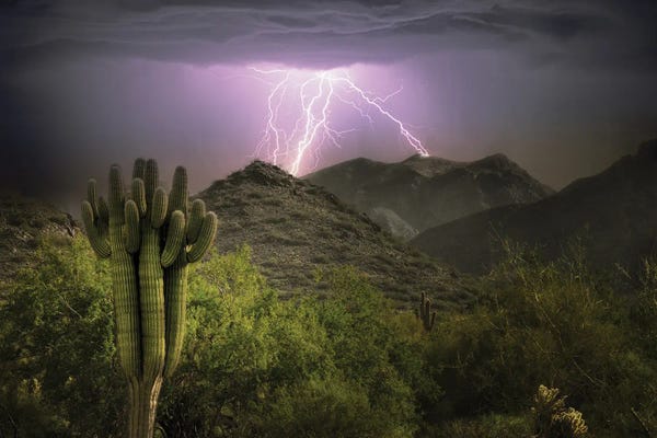 Fine Art Print: Desert Lightning Storm by Dennis Frates