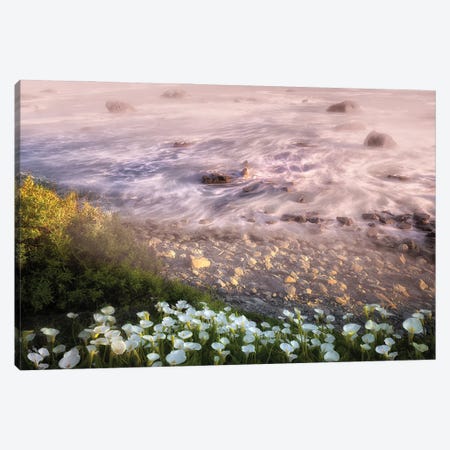 Spring And Ocean Canvas Print #DEN1970} by Dennis Frates Canvas Print