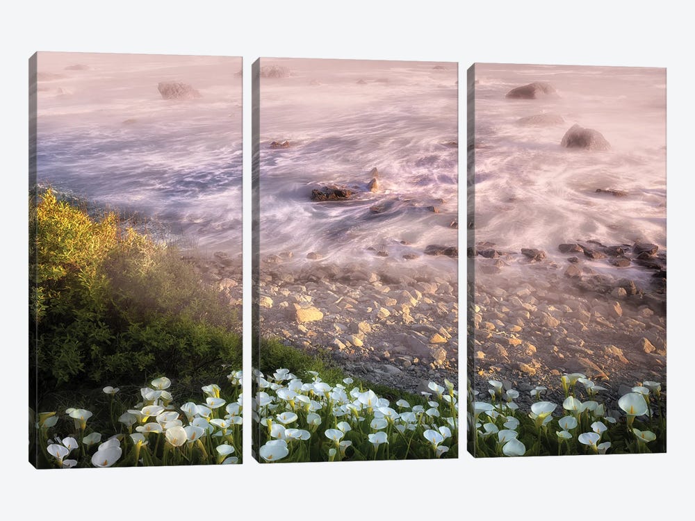 Spring And Ocean by Dennis Frates 3-piece Canvas Artwork