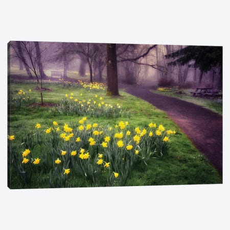Daffodil Trail Canvas Print #DEN1973} by Dennis Frates Art Print