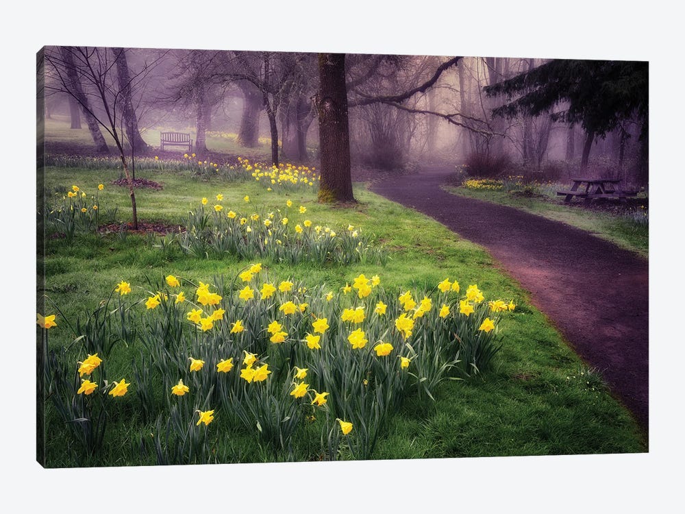 Daffodil Trail by Dennis Frates 1-piece Art Print