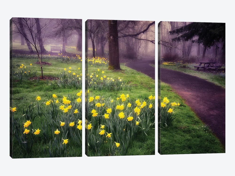 Daffodil Trail by Dennis Frates 3-piece Canvas Art Print
