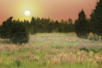 Wildflower Meadow Sunrise by Dennis Frates framed wall art
