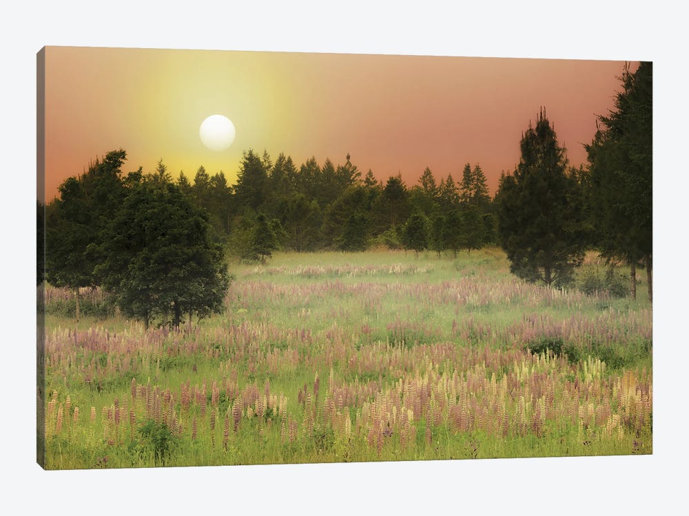 Wildflower Meadow Sunrise by Dennis Frates 1-piece Art Print