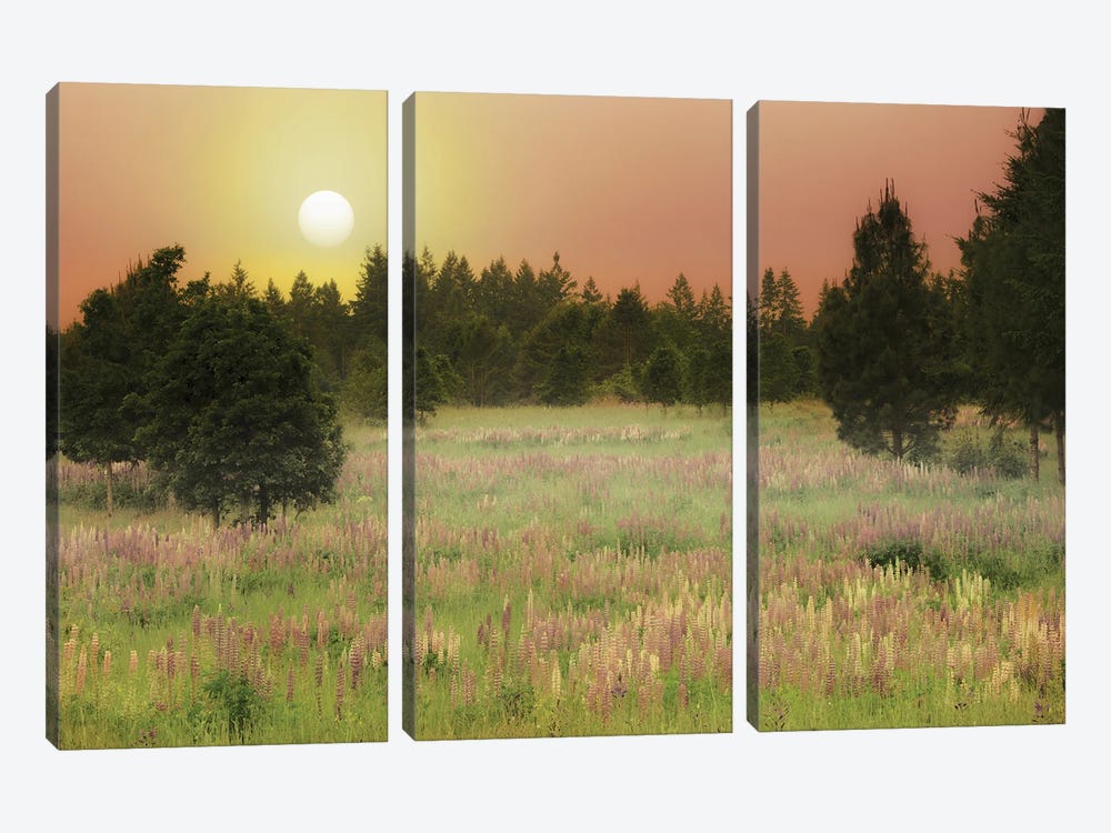 Wildflower Meadow Sunrise by Dennis Frates 3-piece Canvas Print