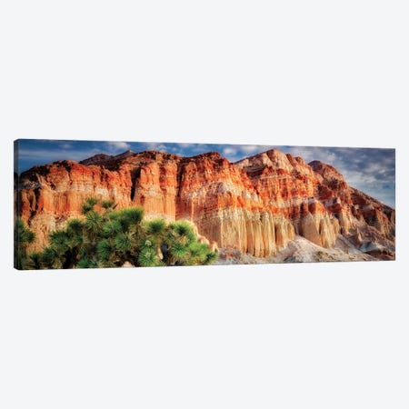 Southwest Cliffs Panoramic Canvas Print #DEN1985} by Dennis Frates Art Print