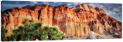 Southwest Cliffs Panoramic Canvas Art Print - Cliff Art