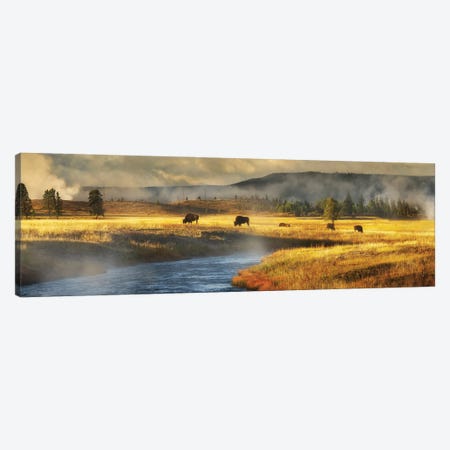Buffalo And River Panoramic Canvas Print #DEN1987} by Dennis Frates Art Print