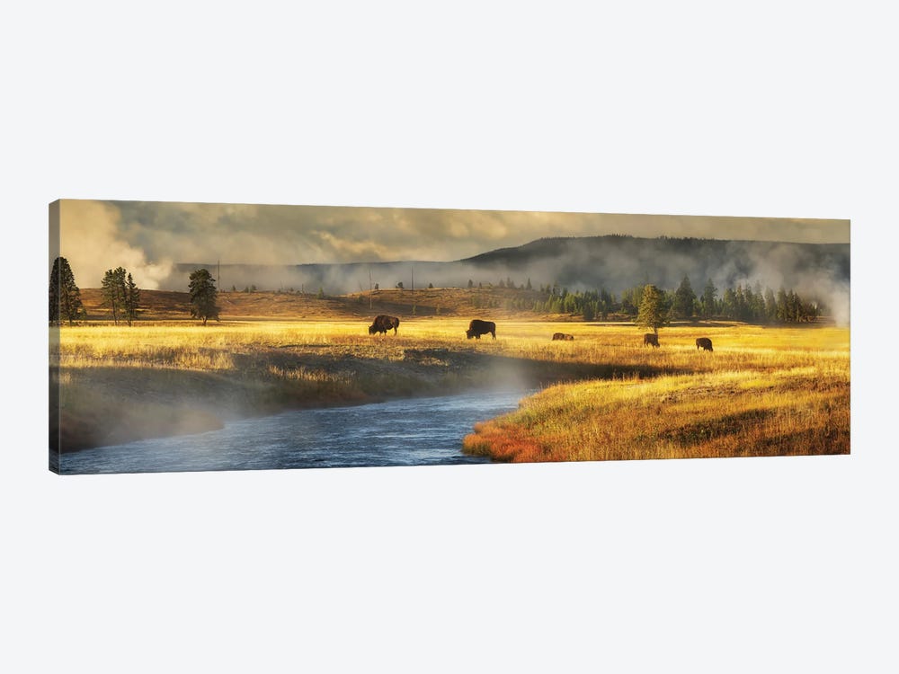 Buffalo And River Panoramic by Dennis Frates 1-piece Canvas Wall Art