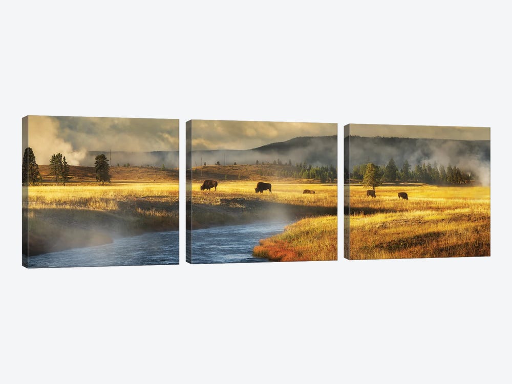 Buffalo And River Panoramic by Dennis Frates 3-piece Canvas Artwork